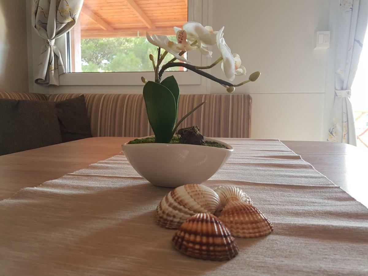 Mobile Homes Seashell イェゼラ エクステリア 写真